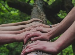 Hands